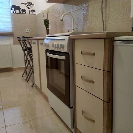 Studio Apartman Zdral Daruvar Exteriér fotografie