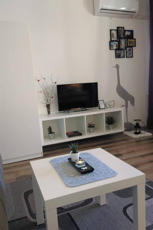 Apartmán Studio Apartman Zdral Daruvar Exteriér fotografie