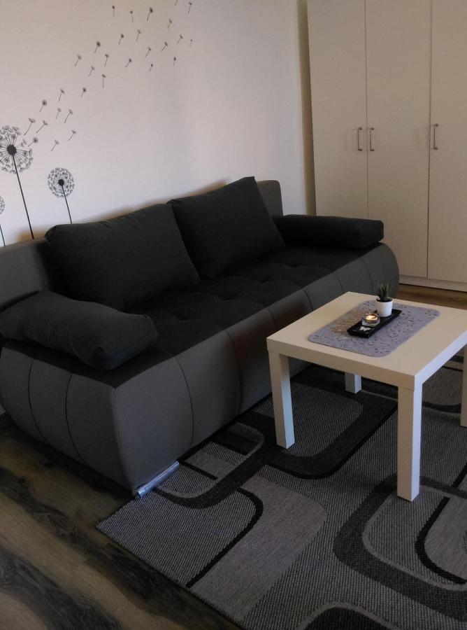 Studio Apartman Zdral Daruvar Exteriér fotografie
