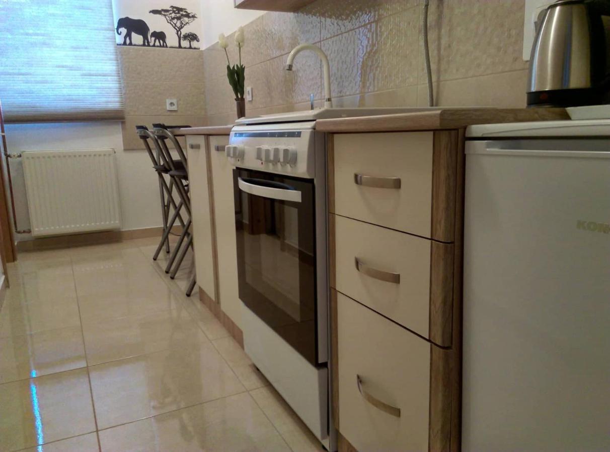 Studio Apartman Zdral Daruvar Exteriér fotografie