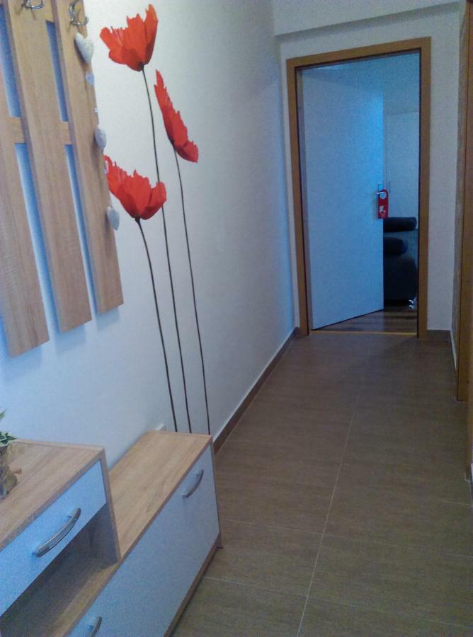 Studio Apartman Zdral Daruvar Exteriér fotografie