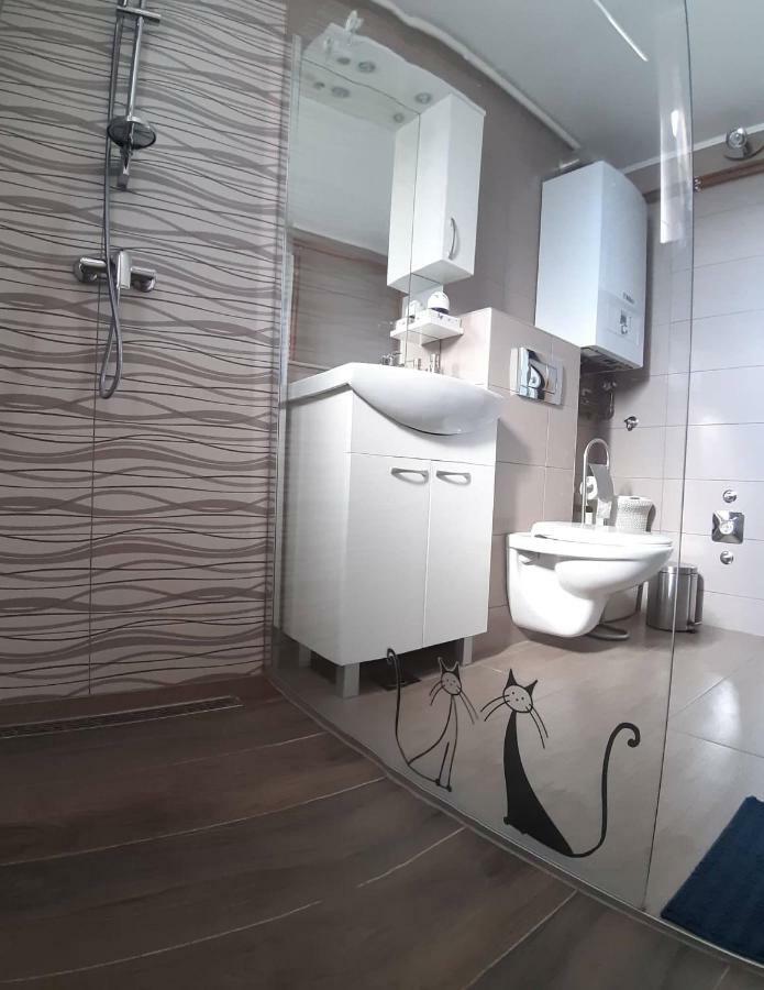 Studio Apartman Zdral Daruvar Exteriér fotografie